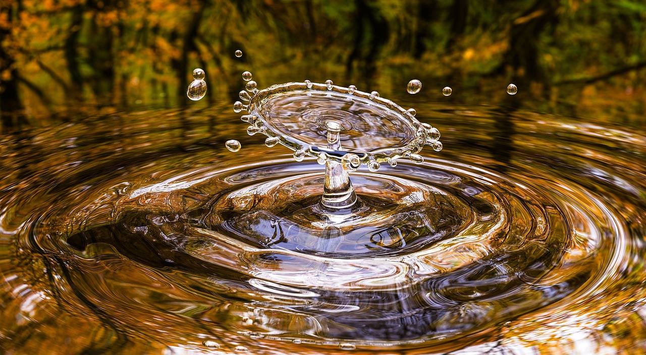 Evaluando la Calidad del Agua: ¿Qué Pruebas Utilizar?