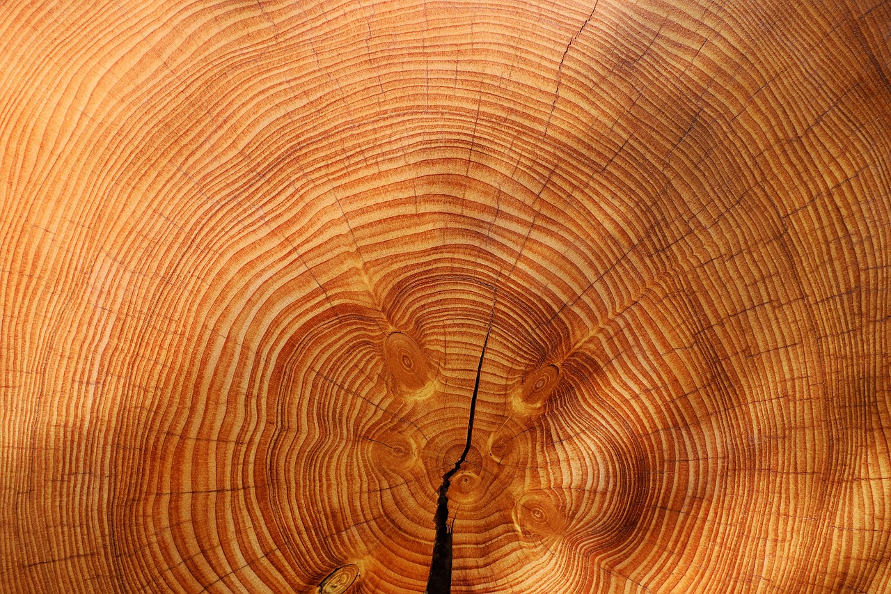 Cómo crear un llavero de madera