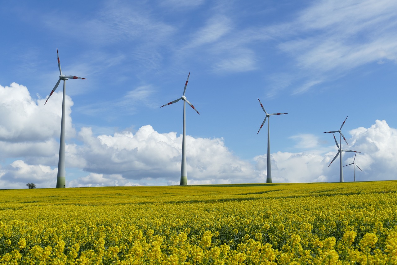 Descubriendo las Desventajas de la Energía Solar