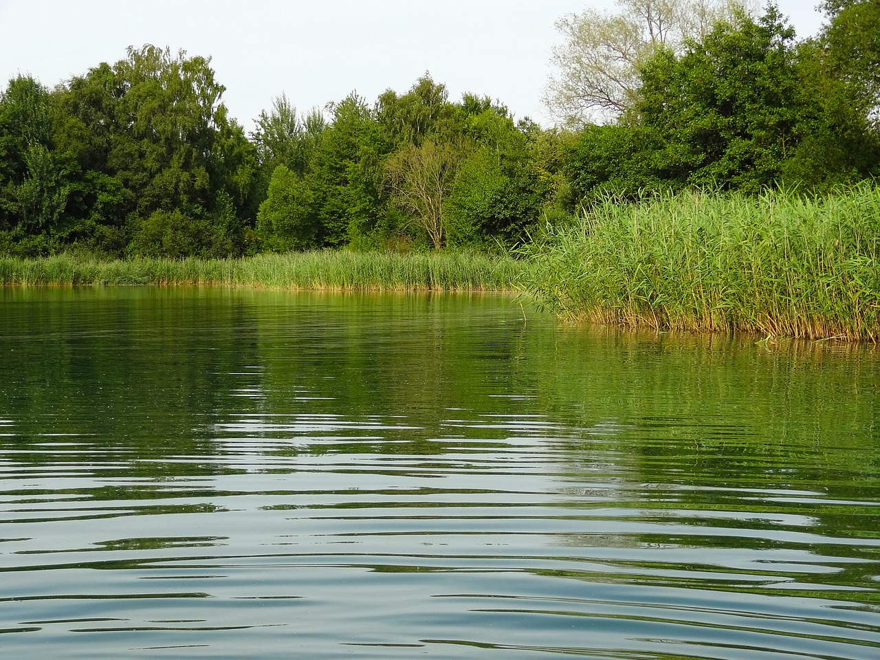 ¿Cuál es el Nivel de Cal en el Agua? Una Guía para Medir