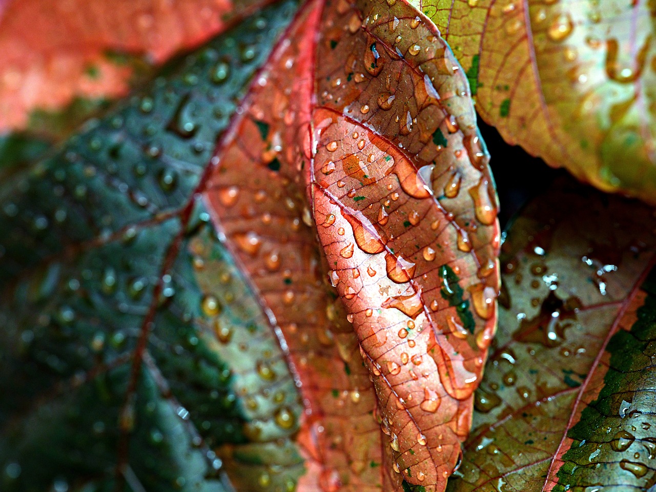 ¿Cuales son los Beneficios del Cobre en el Agua?