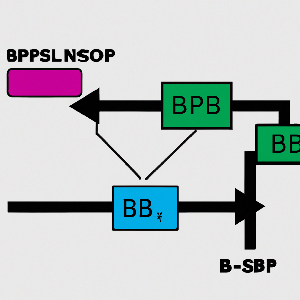 Explorando la Conexión BSP: ¿Qué es y cómo Funciona?