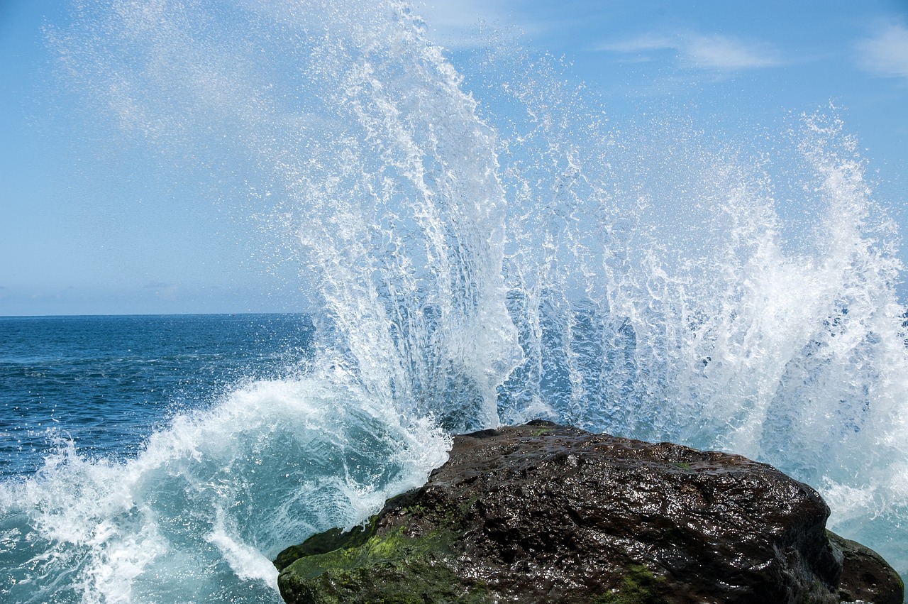 Descubriendo el Agua de Tenerife