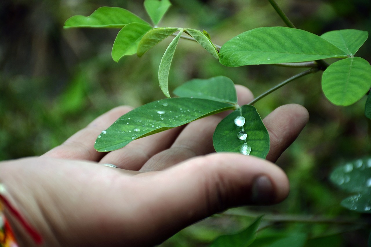 Cómo ahorrar agua usando dispositivos en los grifos