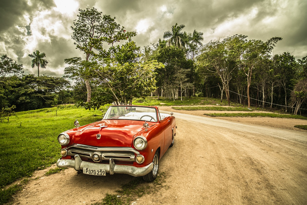 ¿Cuál es el nombre de la puerta del coche?