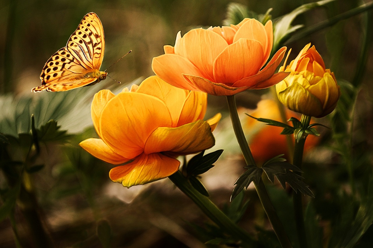 Descubre el Nombre de la Flor de los Vientos