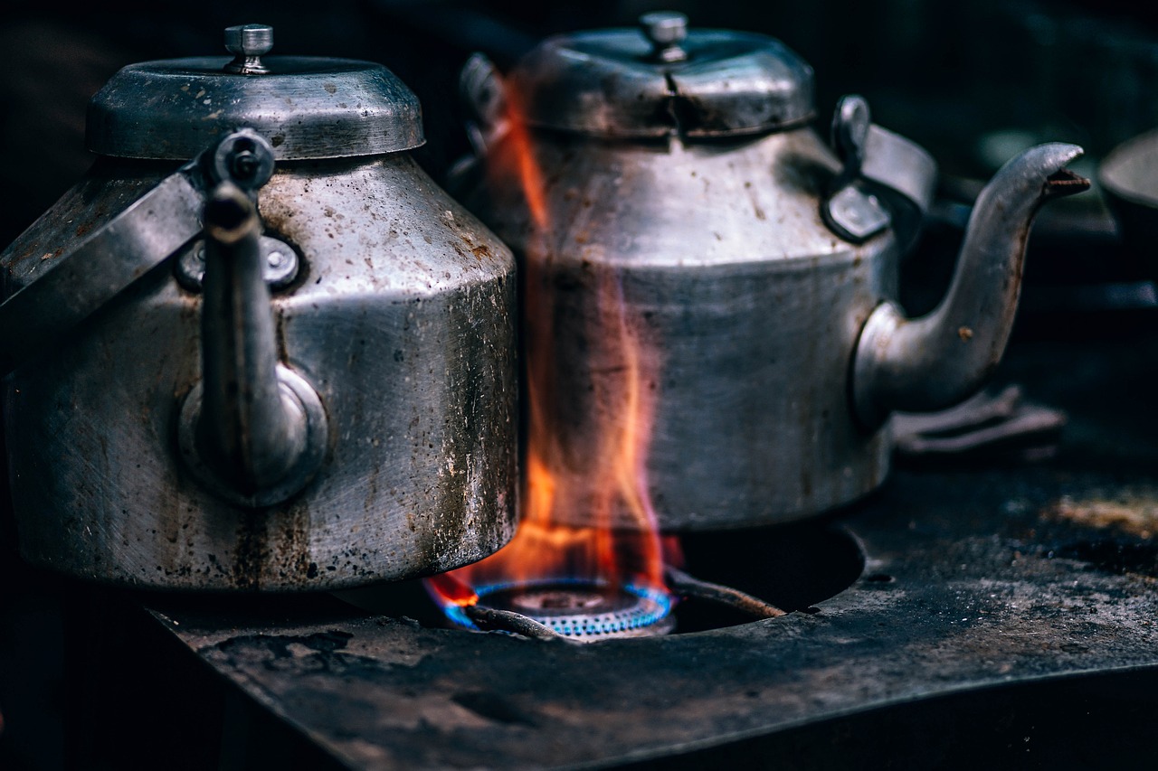 ¿Qué tipos de estufas hay para cocinar?”