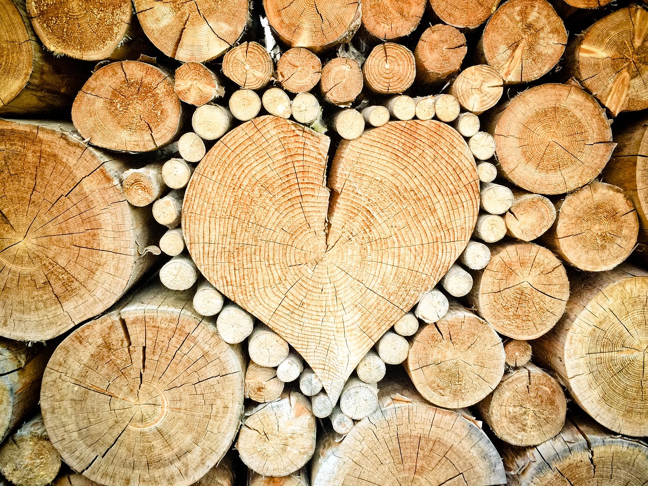¿Qué madera se usa para hacer cajones?